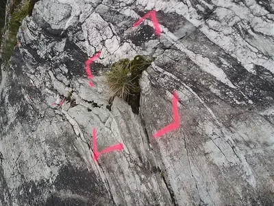 Marquage d'une fissure et de la flore associée