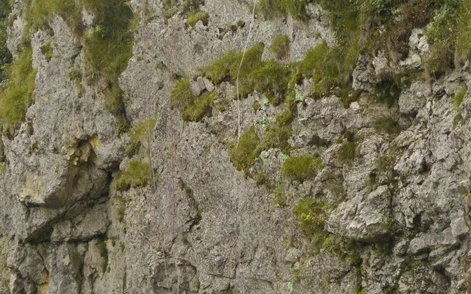 Sécurisation de falaise au-dessus de la route